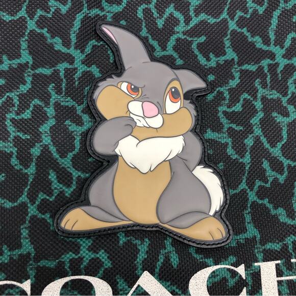 DISNEY x COACH Terrain Drawstring Backpack with Wavy Animal Print and Thumper - Picture 6 of 15